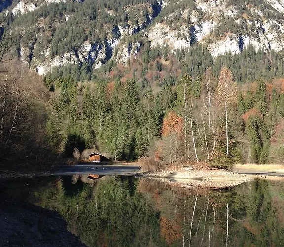 Golden Gapa Family 8 *