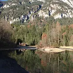 Golden Gapa Family 8 *