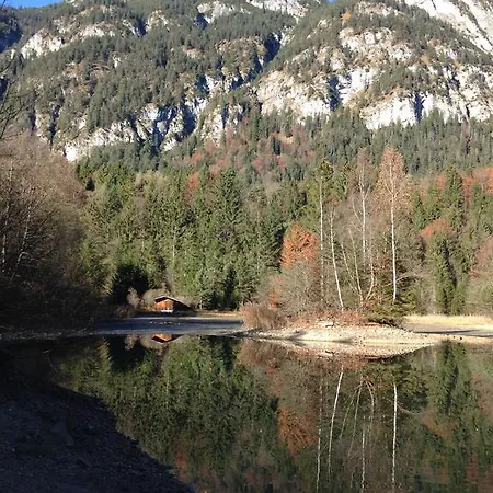 Golden Gapa Family 8 *